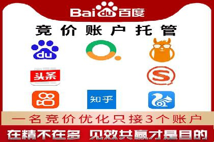 专业竞价SEM托管成功案例解析
